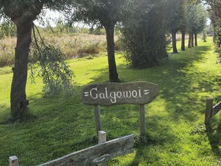 Vakantiehuis Vlissingen Buitenaudio-opname 9