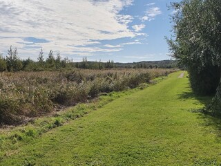 Casa de vacaciones Vlissingen Grabación al aire libre 8