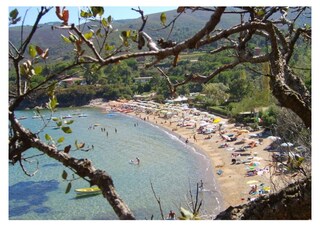 Appartamento Capoliveri Ambiente 28