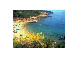 Appartamento Capoliveri Ambiente 25