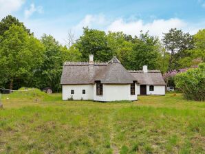 9 Personen Ferienhaus in Vig-By Traum - Vig - image1