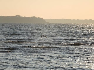 Vakantiehuis Vig  31