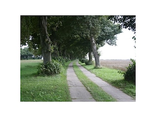 Allee führt zu Haus Sommerwind