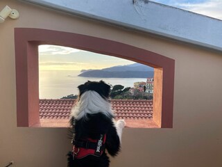 Appartement Capoliveri Buitenaudio-opname 8