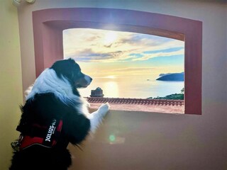 Appartamento Capoliveri Registrazione all'aperto 2