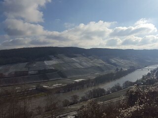 Mosel-Landschaft in herrlicher Winterstimmung