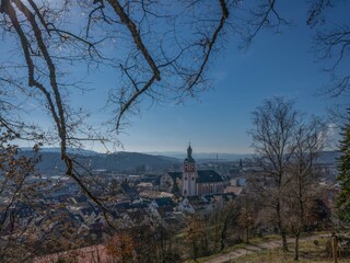 Blick auf Tiengen