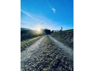 Holiday house Lennestadt Environment 37