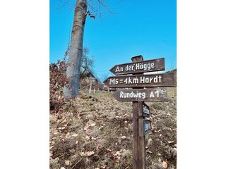 Holiday house Lennestadt Environment 39