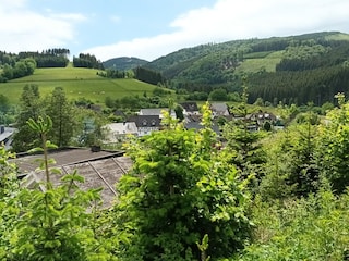 Blick von der Terrasse auf Milchenbach