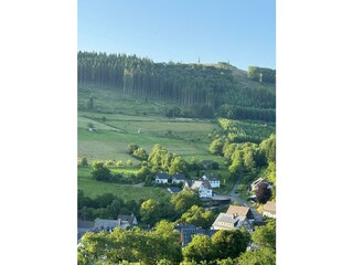 Blick vom Dümpel zu den Häusern