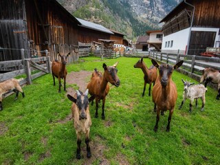 Apartamento Längenfeld Entorno 26