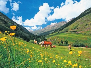 Appartamento Längenfeld Ambiente 27