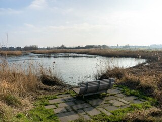 Castle Beveren Environment 36