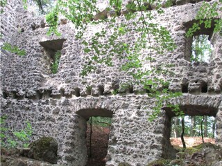 Appartamento Oberstadtfeld Ambiente 31