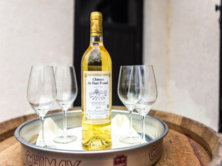 Vakantiehuis Saint-Sylvestre-sur-Lot Kenmerken 14