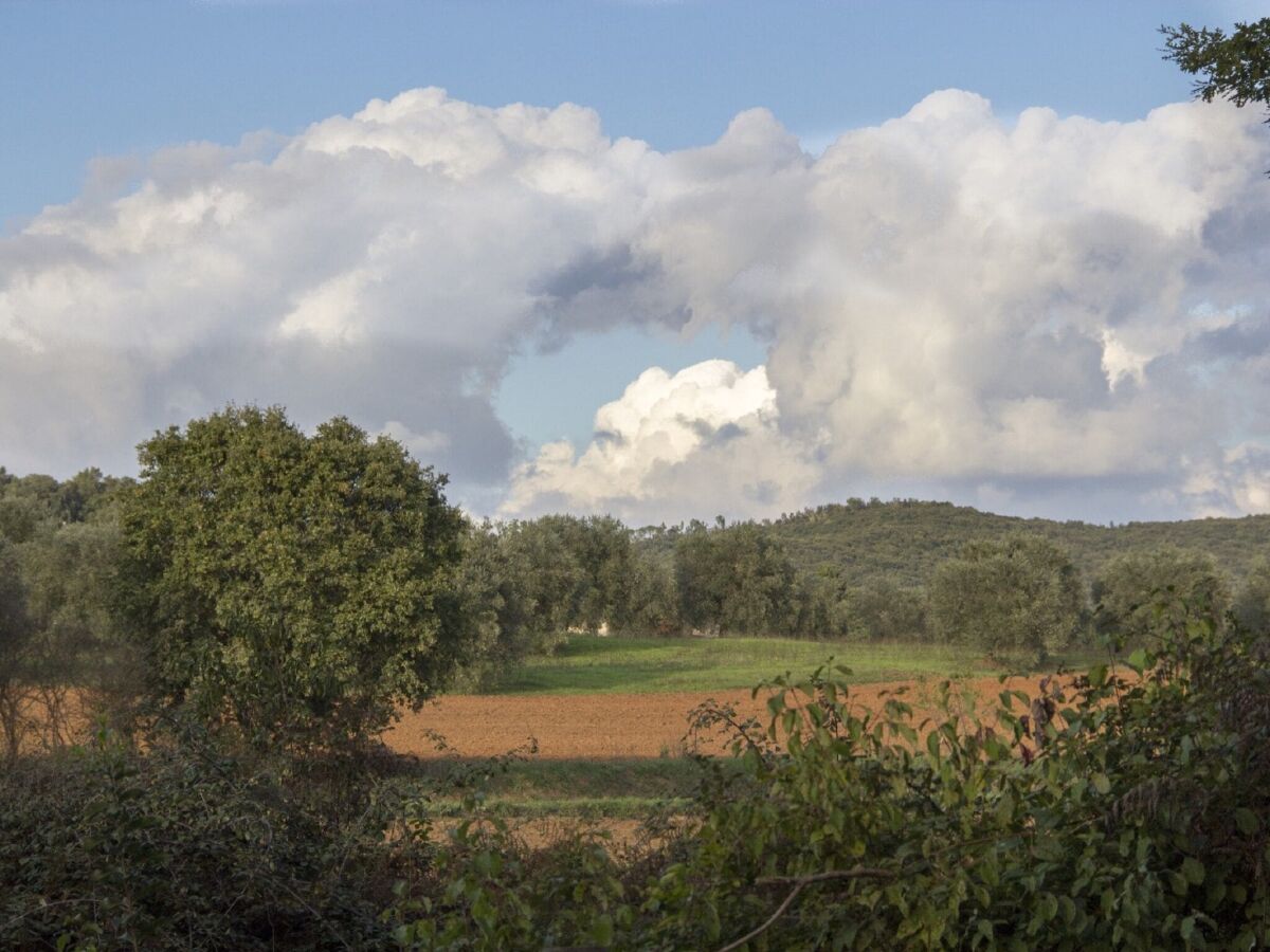 Type de propriété : Ferme Massa Marittima Enregistrement extérieur 1