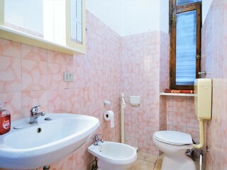 Type de propriété : Ferme Massa Marittima Équipement 22