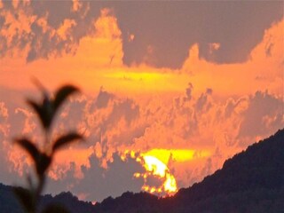 Type de propriété : Ferme Massa Marittima Environnement 28