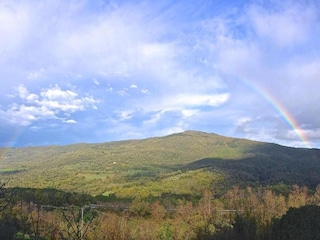 Bauernhof Massa Marittima Umgebung 30