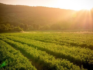 Type de propriété : Ferme Massa Marittima Environnement 35