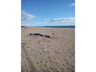 Maison de vacances Portiragnes Environnement 22