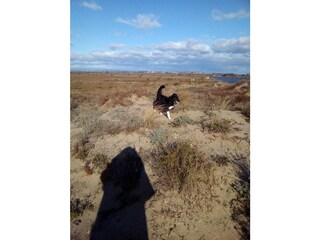 Maison de vacances Portiragnes Environnement 23