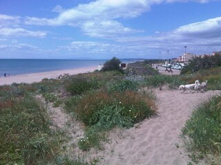 der Strand vonPortiragnes im Mai