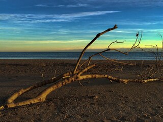 beach in april