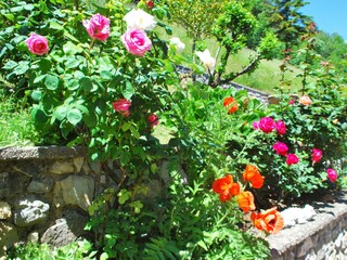 Appartamento Tremosine sul Garda Registrazione all'aperto 7