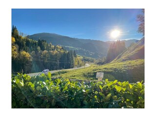 Casa per le vacanze Maria Alm Registrazione all'aperto 11