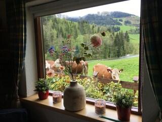 Casa per le vacanze Maria Alm Registrazione all'aperto 9