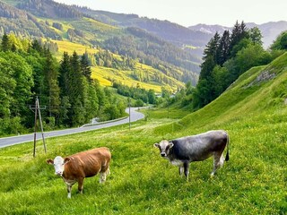 Casa per le vacanze Maria Alm Registrazione all'aperto 13