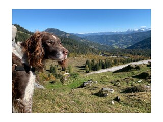 Casa per le vacanze Maria Alm Ambiente 37