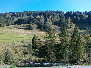Casa per le vacanze Maria Alm Ambiente 30