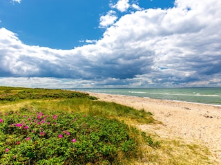 Raue Westküste - Duft von Strand und salziger Ostsee