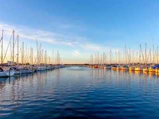 Yachthafen Burgtiefe direkt nebenan