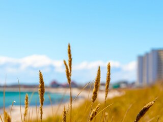 Appartement Burgtiefe Environnement 23