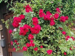 Holiday house Garmisch-Partenkirchen Environment 13