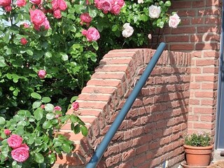 Ferienhaus Dahme Ausstattung 19