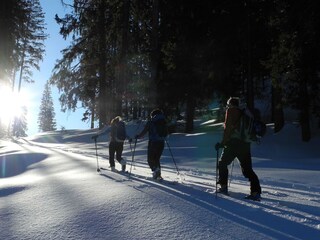 Apartamento de vacaciones Nüziders Entorno 30