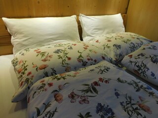 Appartamento per vacanze Nüziders Registrazione all'aperto 2