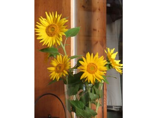 Appartamento per vacanze Nüziders Registrazione all'aperto 5