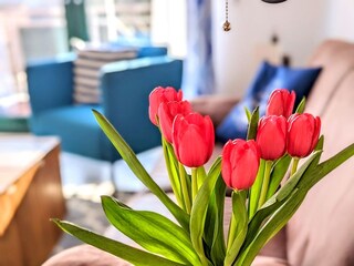 Ferienwohnung Dahme Ausstattung 5