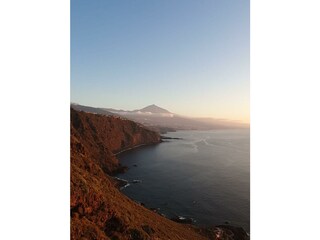 Bungalow Santa Ursula Ambiente 16