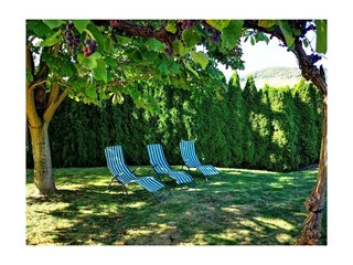 Appartamento Zell Mosel Registrazione all'aperto 3