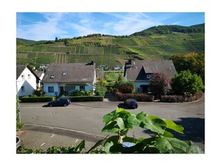 Appartamento Zell Mosel Caratteristiche 20