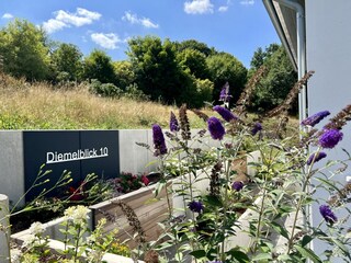 Casa de vacaciones Diemelsee Grabación al aire libre 7