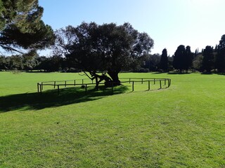 Villa Pula Ambiente 23