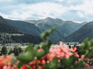 Ausblick